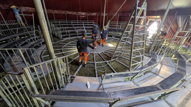 PXL_20250815_091724390.MP